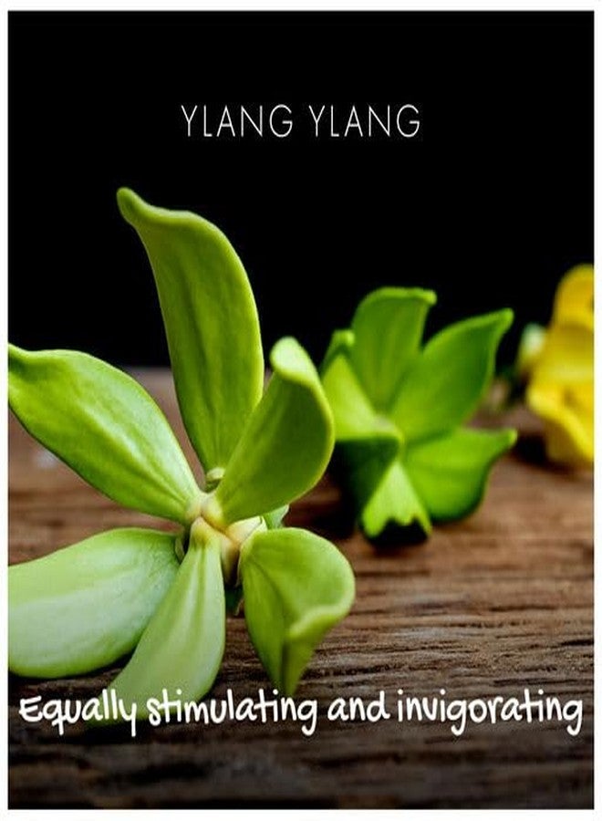 Friendly Soap Natural Ylang Ylang Bath Soap 3.35 oz - Image 4